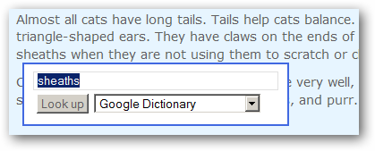 Панель запуска Google Dictionary